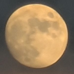 Meet your Posher, Bethany